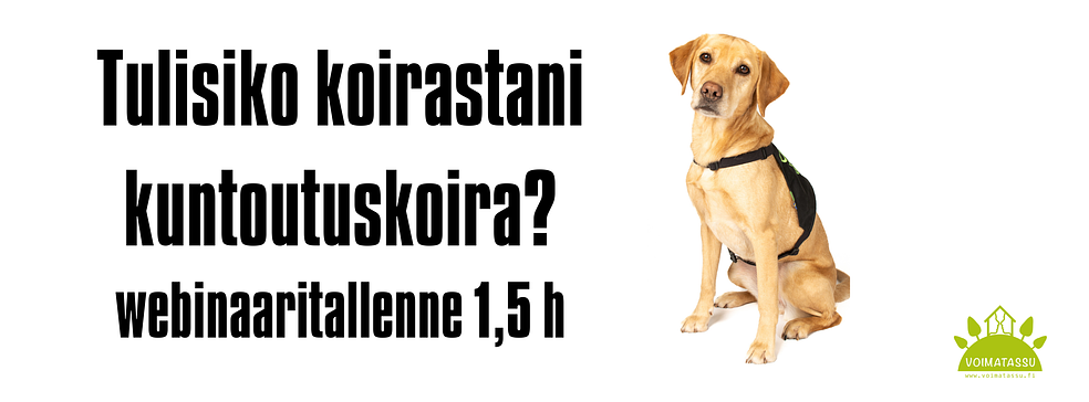 Tulisiko koirastani kuntoutuskoira ?  by Voimatassu Oy