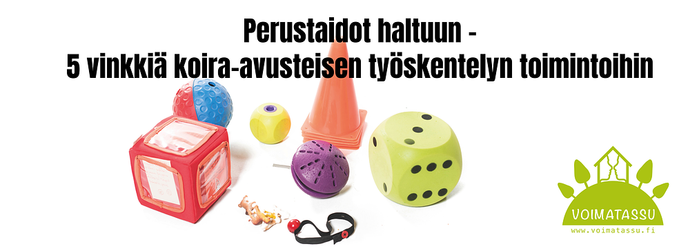 Perustaidot haltuun - 5 vinkkiä koira-avusteisen työskentelyn toimintoihin  by Voimatassu Oy