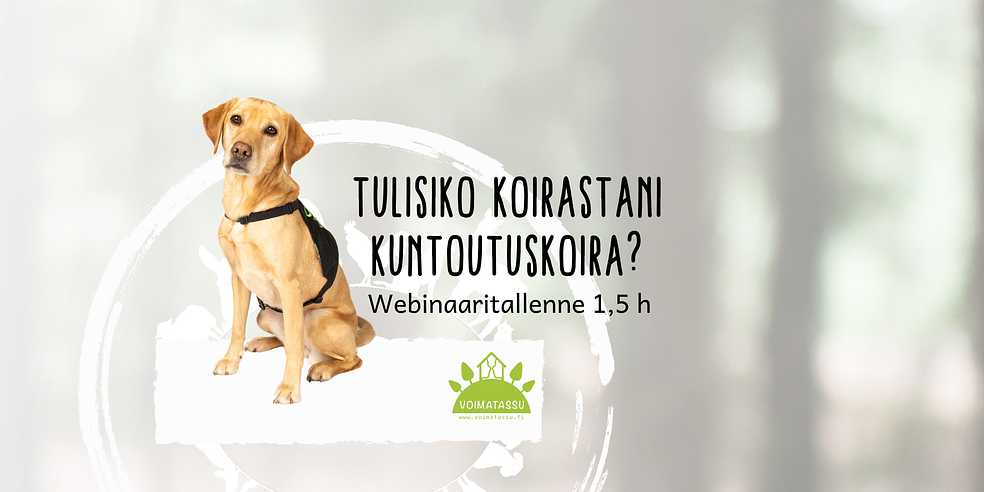 Tulisiko koirastani kuntoutuskoira ? by Voimatassu Oy
