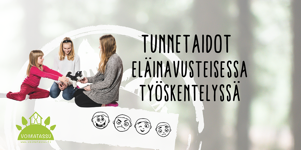 Tunnetaidot eläin-avusteisessa työskentelyssä by Voimatassu Oy