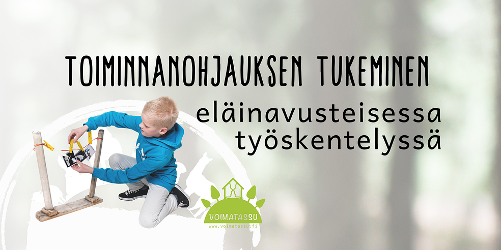 Toiminnanohjauksen tukeminen eläinavusteisessa työskentelyssä by Voimatassu Oy