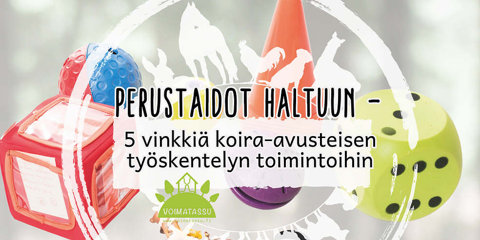 Perustaidot haltuun - 5 vinkkiä koira-avusteisen työskentelyn toimintoihin by Voimatassu Oy