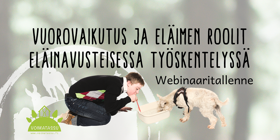 Vuorovaikutus ja eläimen roolit eläinavusteisessa työskentelyssä by Voimatassu Oy