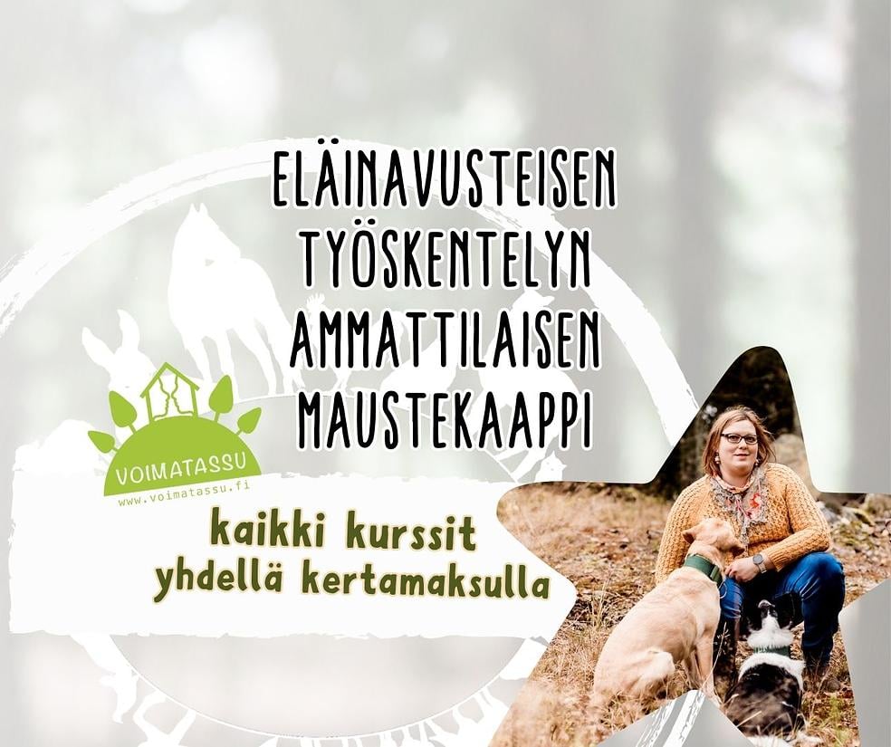 Kaikki Koiraavusteinen.fi webinaaritallenteet by Voimatassu Oy